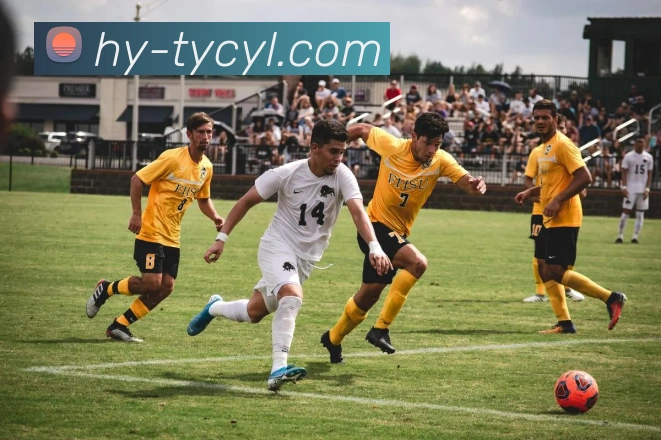 App Interface Preview