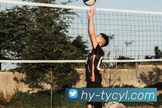 澳门太阳城APP 封面图